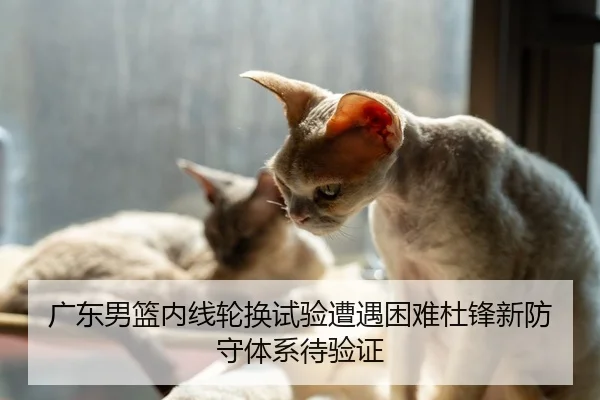 广东男篮内线轮换试验遭遇困难杜锋新防守体系待验证
